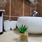 Dioniz * 扎达尔