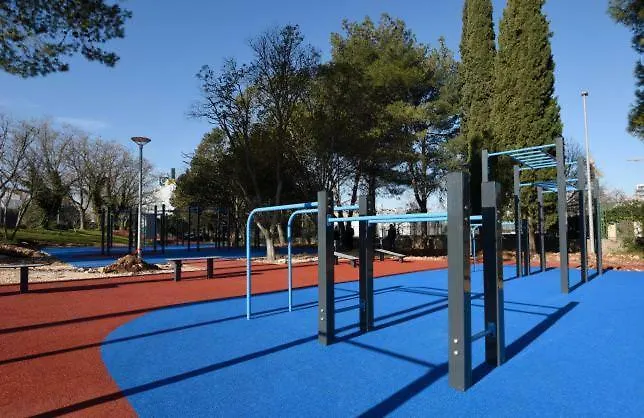 Dioniz * Ζαντάρ